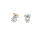 Pre Owned 18ct Diamond Studs ZU290